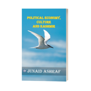 Political Economy, Culture and Kashmir