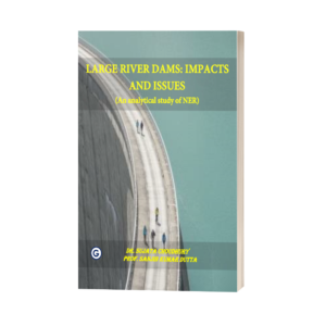 Large River Dams: Impacts and Issues (An analytical study of NER)